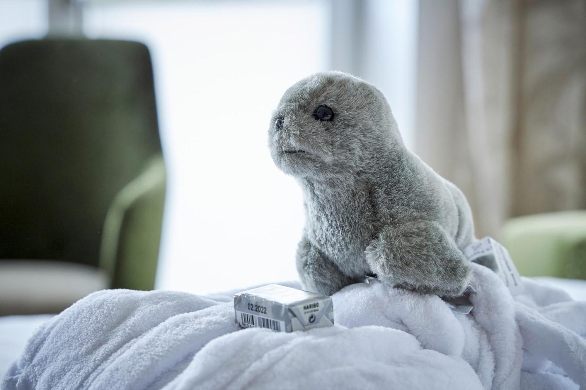 Hotel Villa Duene Borkum Zewnętrze zdjęcie